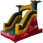 Imagen anterior del producto