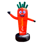 Imagen anterior del producto