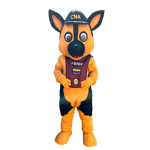 Imagen anterior del producto