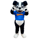 Imagen anterior del producto