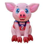 Imagen anterior del producto