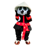 Imagen anterior del producto