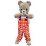 Imagen anterior del producto