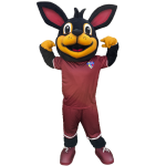 Imagen anterior del producto