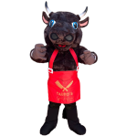 Imagen anterior del producto