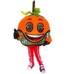 Imagen anterior del producto