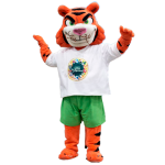 Imagen anterior del producto